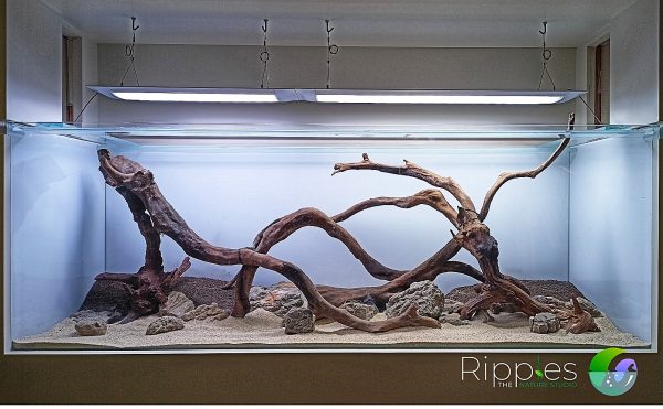 Stunning Upgrading Goldfish Tank For Better Aquarium Hardscape image
